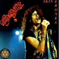 Aerosmith : Skin & Bones